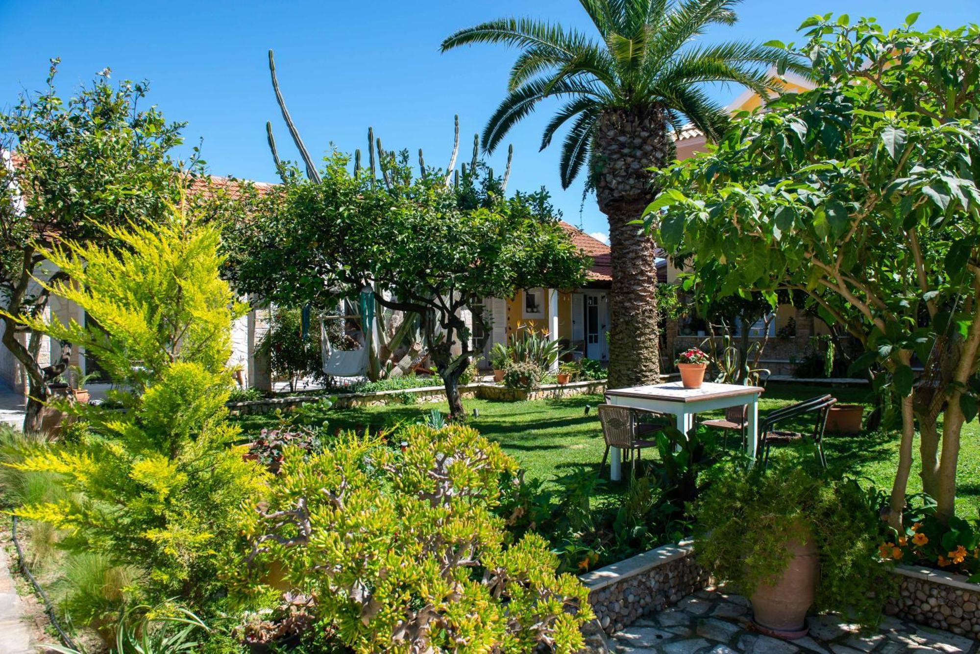 Alex Studios & Apartments Arillas  Exteriör bild