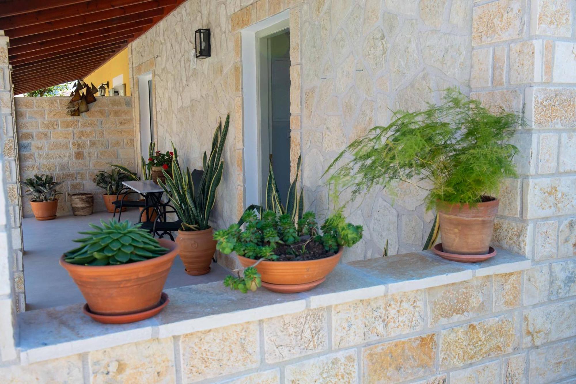 Alex Studios & Apartments Arillas  Exteriör bild