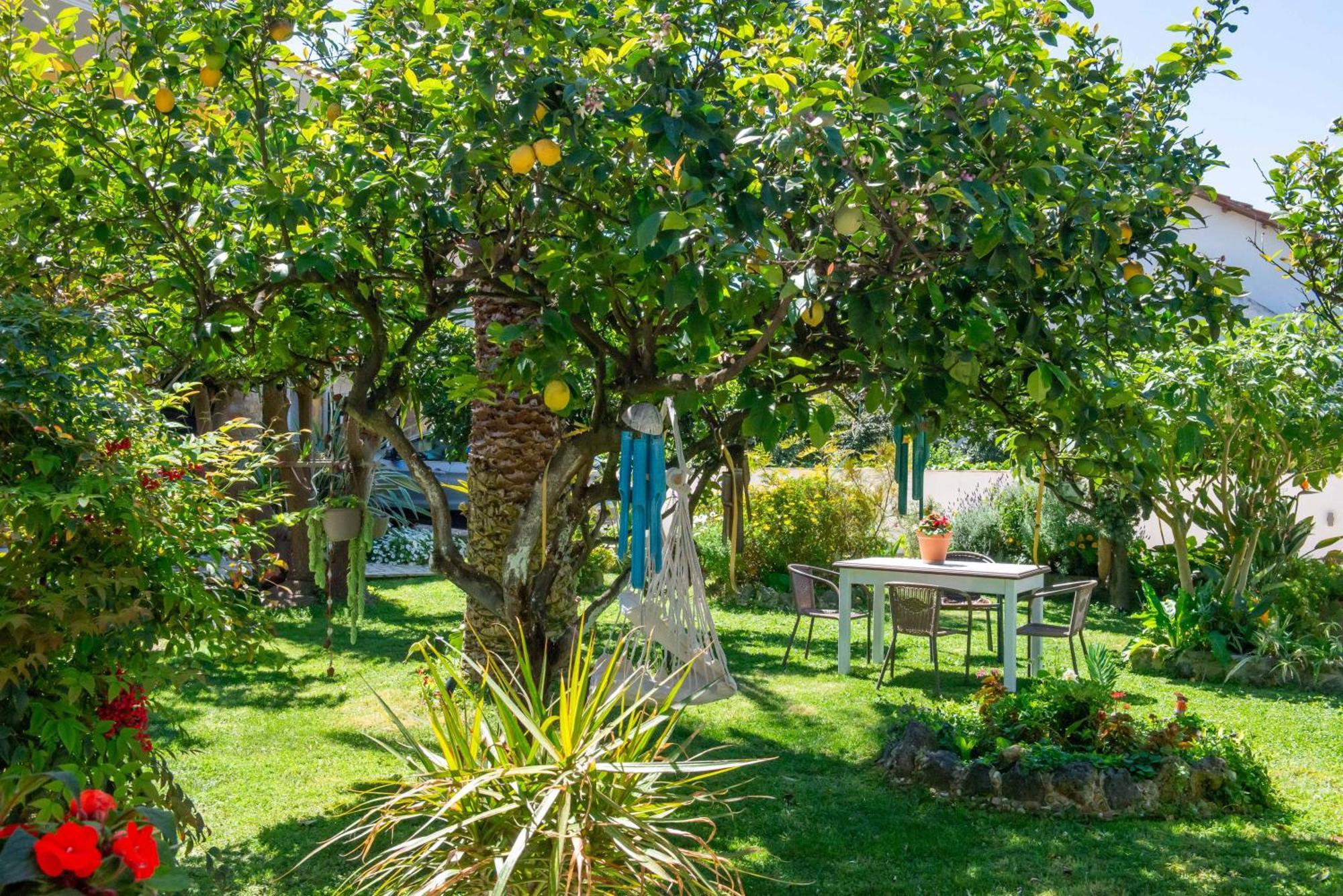 Alex Studios & Apartments Arillas  Exteriör bild