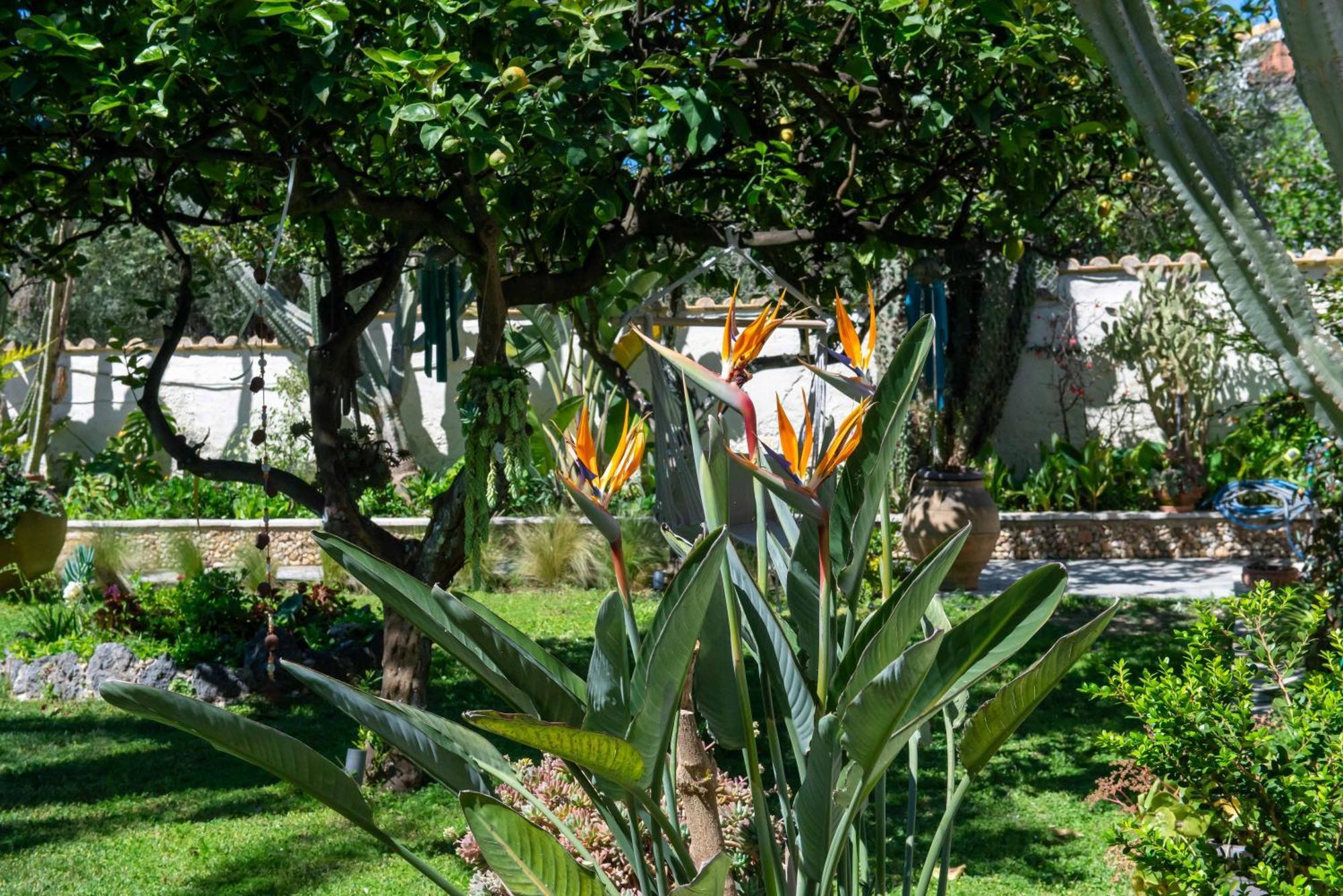 Alex Studios & Apartments Arillas  Exteriör bild